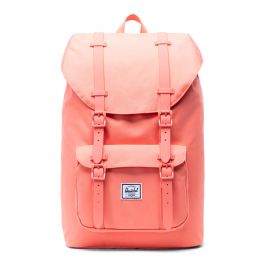 Herschel fresh salmon online