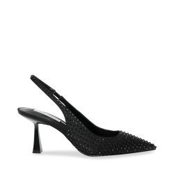 Steve Madden-Lustrous-R Black Décolleté Shoes-SMSLUSTROUS-R-BLK