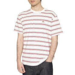 Dickies-Lewistown Stripe SS Tee Egret 