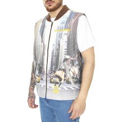 Dickies-NYS Photoreal Vest Assorted Colour 