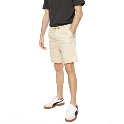 Patagonia-M's Nomader Volley Shorts PLCN - Bermuda Uomo Beige