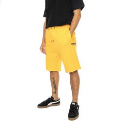 PENFIELD-Hudson Script Sweat Short Apricot - Bermuda in Felpa Uomo Arancioni